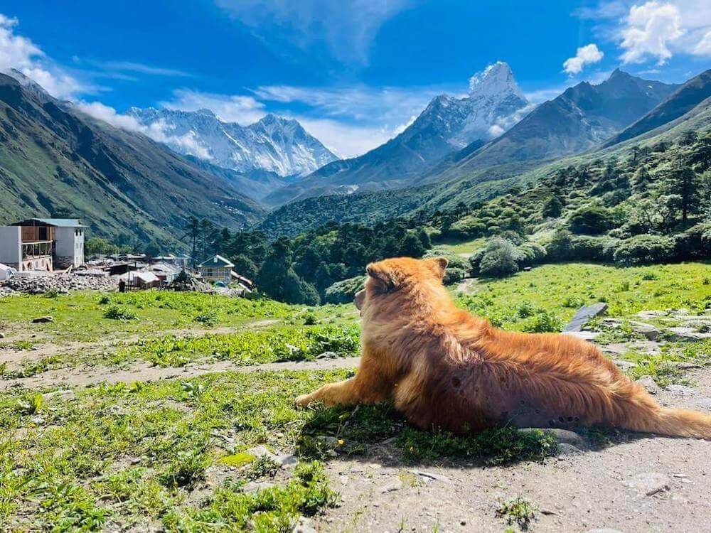 Everest Base Camp Trek without flight main