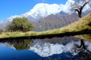 Mirror view at Mardi Himal Trek