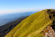 Trail on Mardi Himal Trek
