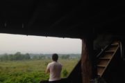 View from Chitwan Tower Buffer Zone