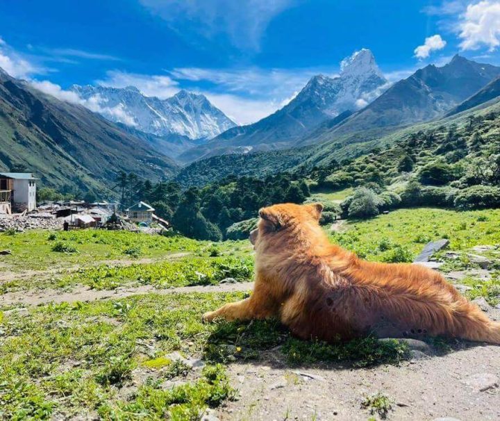 Trek to Everest Base Camp without Flight